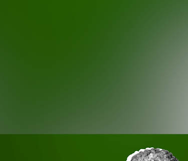 Caligula: Reign of Madness