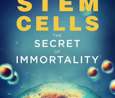 Stem Cells: The Secret To Immortality (2020)