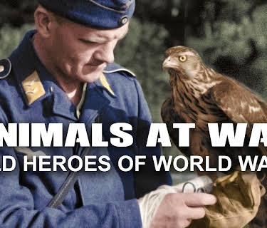 Animals at War: Wild Heroes of World War II (2023)