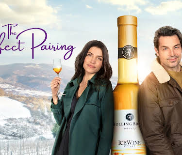 The Perfect Pairing (2022)