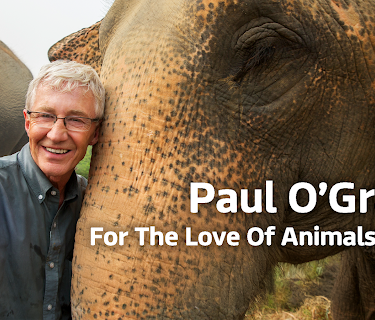Paul O'Grady: For The Love Of Animals - India