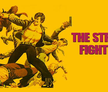 The Street Fighter (1994)