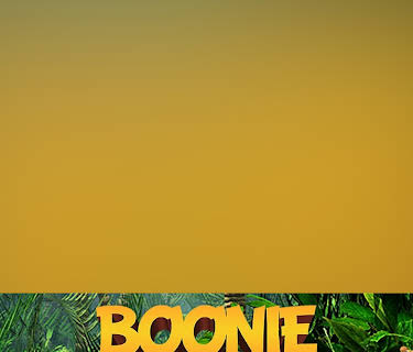 Boonie Bears Forest Frenzy 13: Rumble in the Jungle (2021)