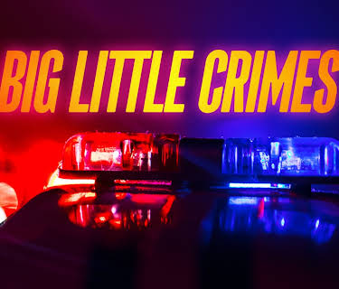 Big Little Crimes