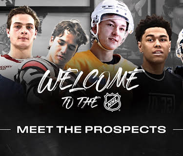 Welcome to the NHL: 2025 Draft (2025)