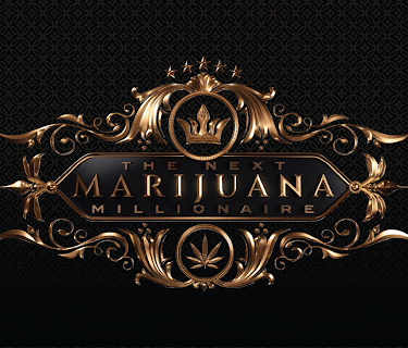 The Next Marijuana Millionaire
