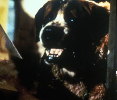 Cujo (1983)