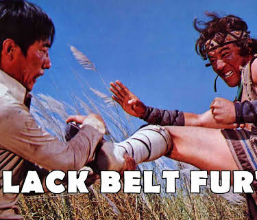Black Belt Fury (1976)