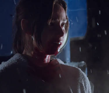 Blood and Snow (2023)