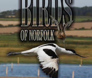 Birds of Norfolk (2010)