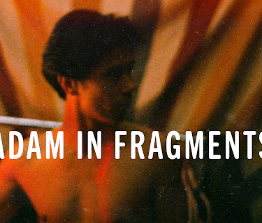 Adam in Fragments