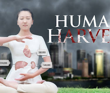 Human Harvest (2016)