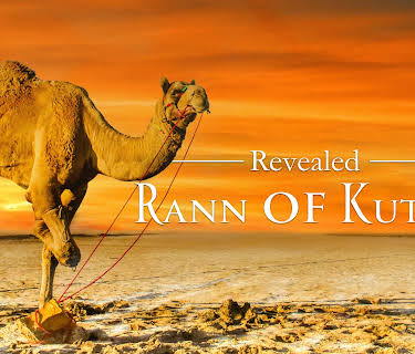 Revealed: Rann of Kutch