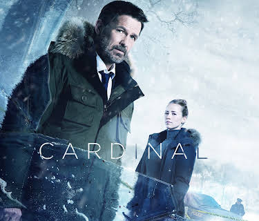 Cardinal, Season 1