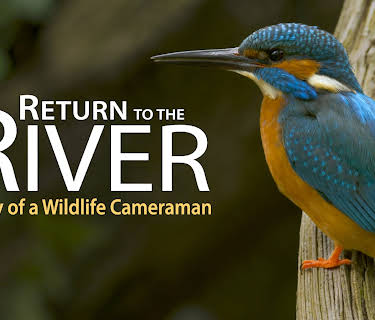 Return to the River - Diary of a Wildlife Cameraman (2015)