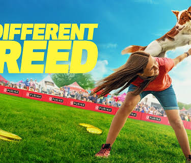 A Different Breed Season 1