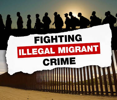 Fighting Illegal Migrant Crime