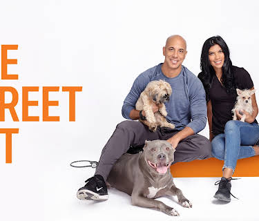 The Street Vet