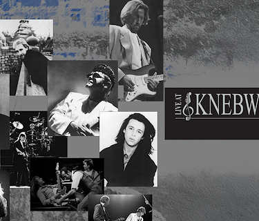 Various Artists - Live at Knebworth 1990 - Volume I (2008)