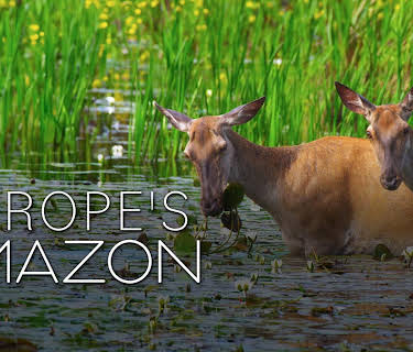 Europe's Amazon