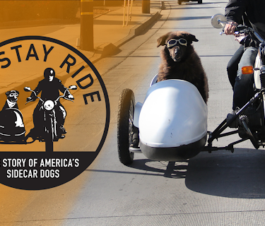 Sit Stay Ride: The Story of America's Sidecar Dogs (2016)