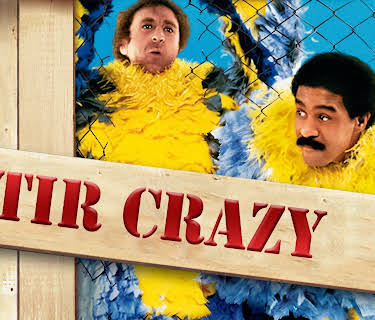 Stir Crazy (1980)
