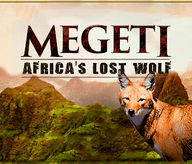 Megeti - Africa's Lost Wolf (2017)