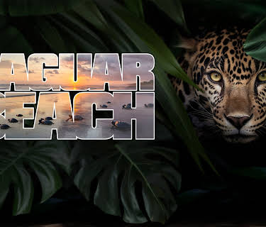 Jaguar Beach