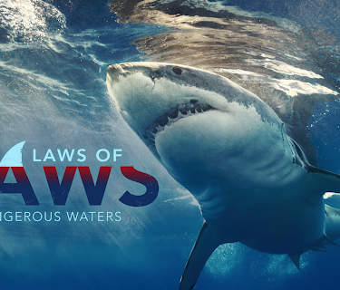 Laws Of Jaws: Dangerous Waters (2019)
