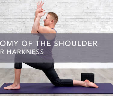 Anatomy of the Shoulder (2021)