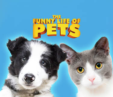 The Funny Life Of Pets (2016)