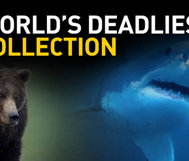 World's Deadliest Collection Season 1