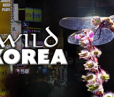 Wild Korea