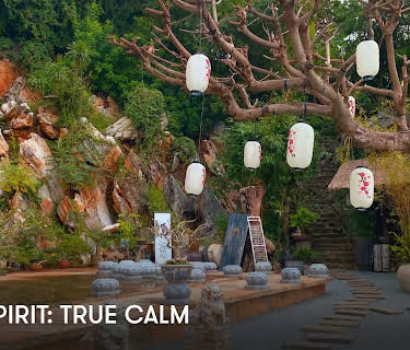 Zen Spirit: True Calm (2025)
