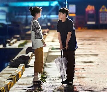 When the Camellia Blooms