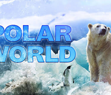 Polar World (2026)