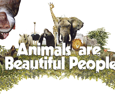 Animals are Beautiful People (1974)