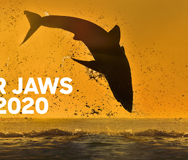 Air Jaws 2020 (2020)