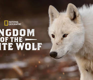 Kingdom of the White Wolf