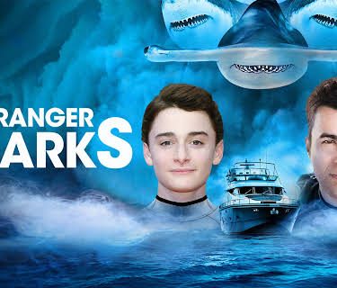 Stranger Sharks