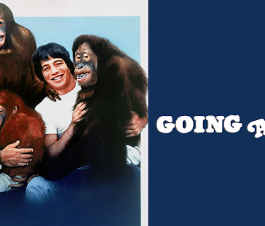 Going Ape! (1981)