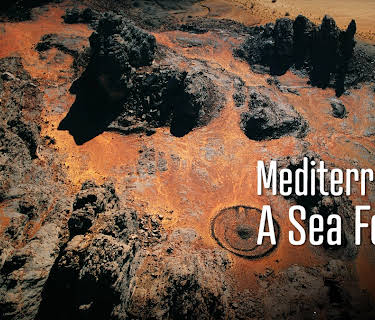 Mediterranean, A Sea For All (2013)