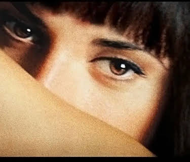 Elegy (2008)