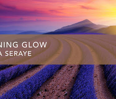 Morning Glow (2022)