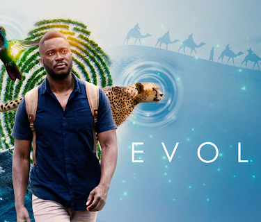 Evolve