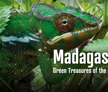 Madagascar, Green Treasures of the Red Island (2014)
