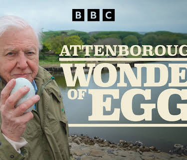 The Egg: Life's Perfect Invention (2021)