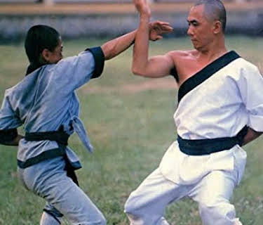 Shaolin Youth Posse (1972)