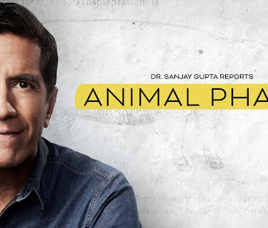 Animal Pharm (2025)