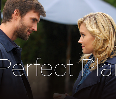 Perfect Plan (2011)